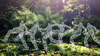 Squatch_Walk_Postcard (1)